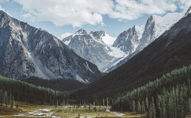 斯洛文尼亚移民